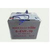 6-EVF-100 免维护蓄电池