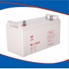 汤浅蓄电池NP-100-12 (2V100AH)