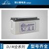 理士蓄电池DJMN1260 12V60AH 免维护UPS电源