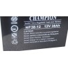 冠军电池NP38-12 铅酸免维护电池