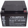 蓄电池NP24-12 12V24AH阀控式铅酸免维护蓄电池