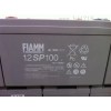FIAMM非凡蓄电池12SP205 12V205AH