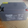 FIAMM非凡蓄电池12SPX4212V42AH 铅酸免维护