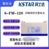 科士达蓄电池6-FM-120 12V120AH固定型